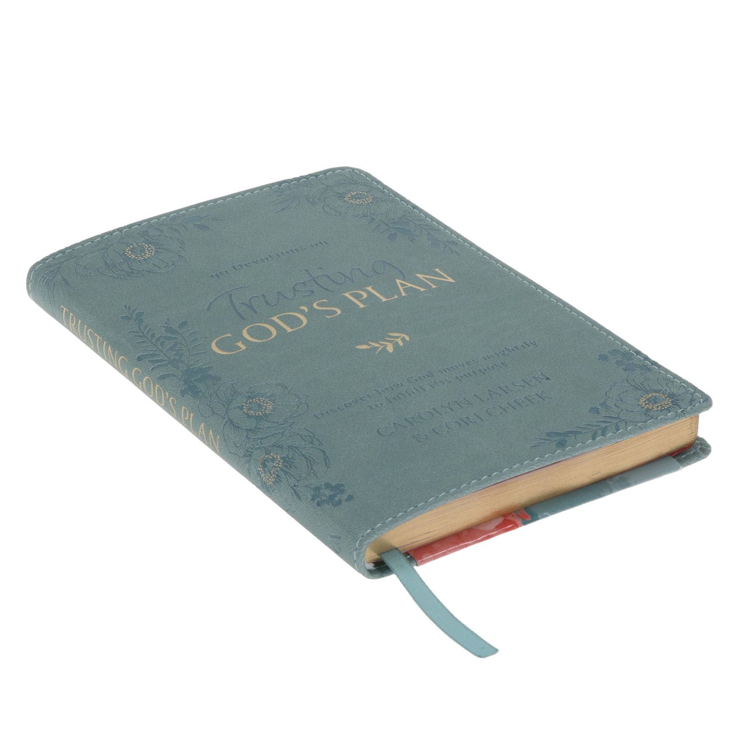 Devotional Trusting God's Plan